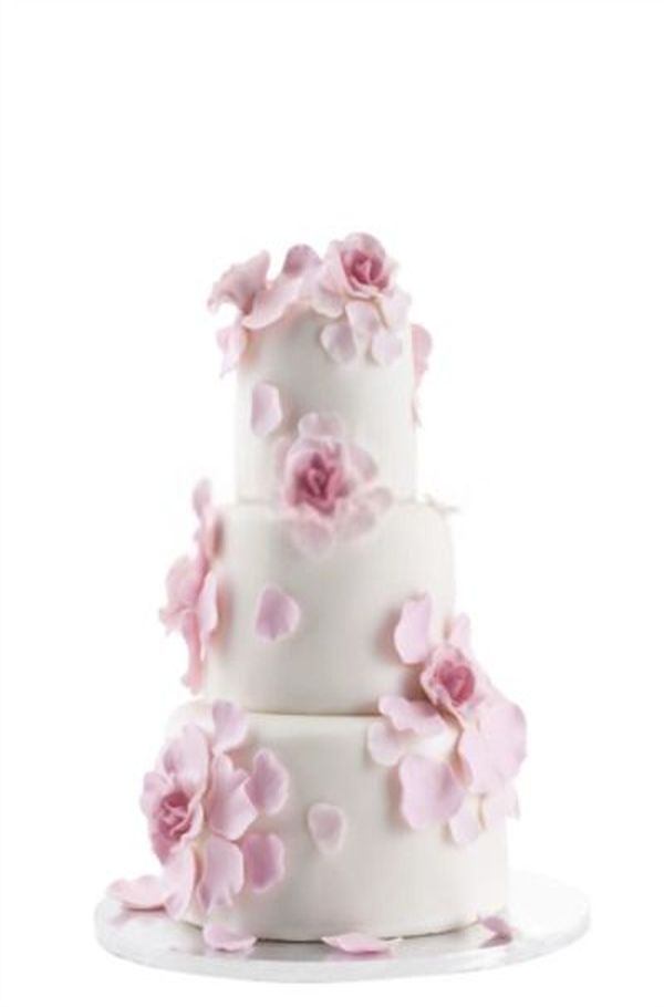 Γαμήλια τούρτα που αποτυπώνεται σε λευκό φόντο