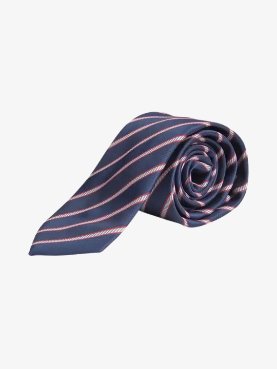 Γαμπριάτικη γραβάτα Prince Oliver σε Μπλέ ριγέ
