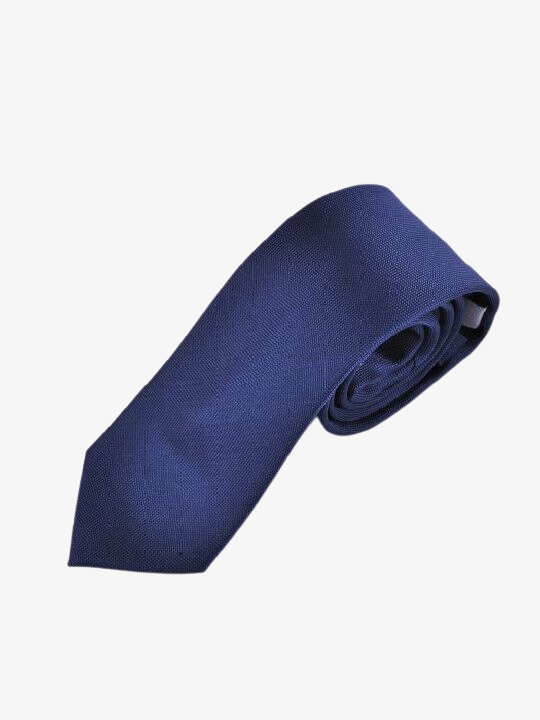 Γραβάτα ανδρική Fragosto σε Μπλέ χρώμα