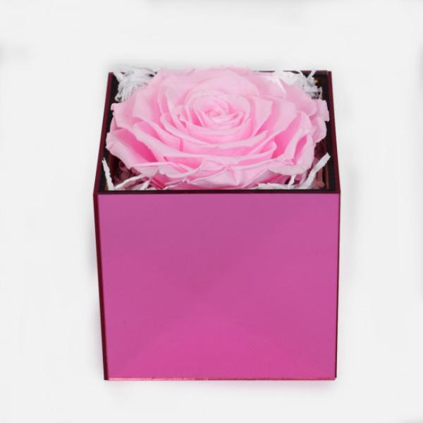 Ροζ αληθινό τριαντάφυλλο σε φούξια plexi glass κύβο
