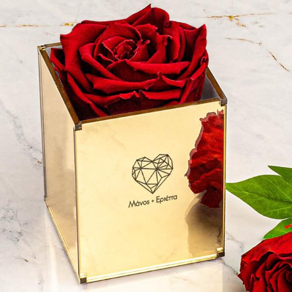 Κόκκινο Παντοτινό σιώνιο τριαντάφυλλο σε κουτι