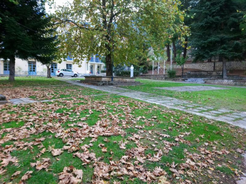 Πεσμένα φύλλα σε φθινοπωρινό τοπίο στα Καλάβρυτα